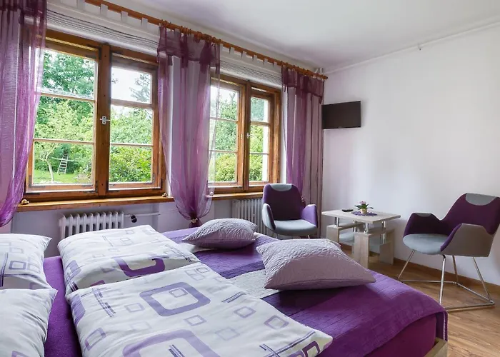Apartment Ruda Buda *